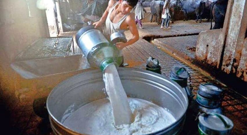 Karachi dairy farmers unilaterally raise fresh milk price
