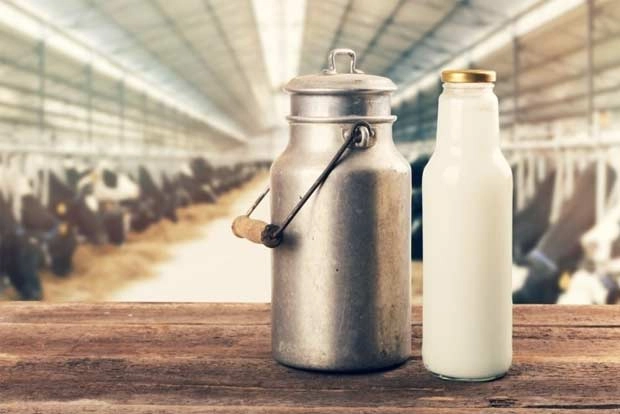 FSSAI survey on in 766 dists to test milk, dairy products