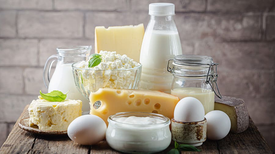 Investment Opportunities in Vietnam’s Dairy Sector