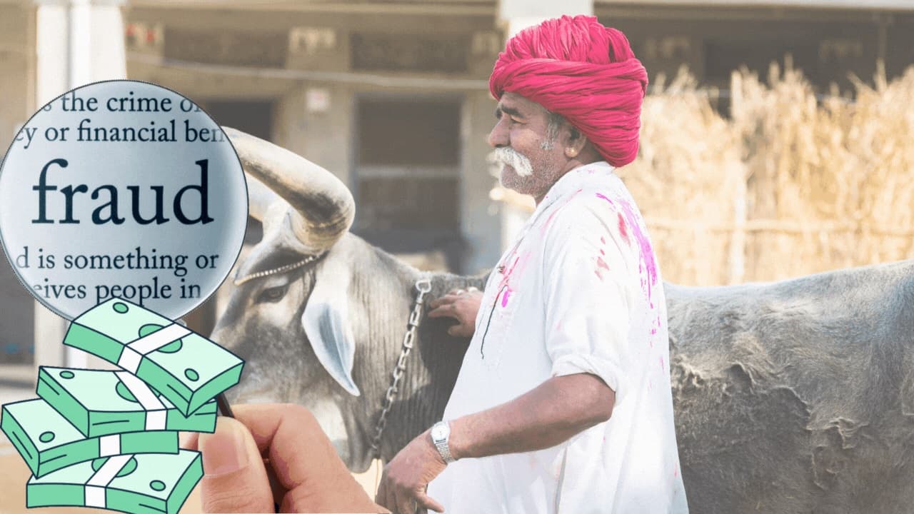 Gurugram Dairy Farmer Falls Prey To Online Scam While Buying Cows, Loses Over Rs 22,000