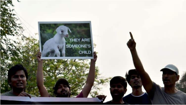 Coimbatore Animal rights body demands personhood status for goats, cows