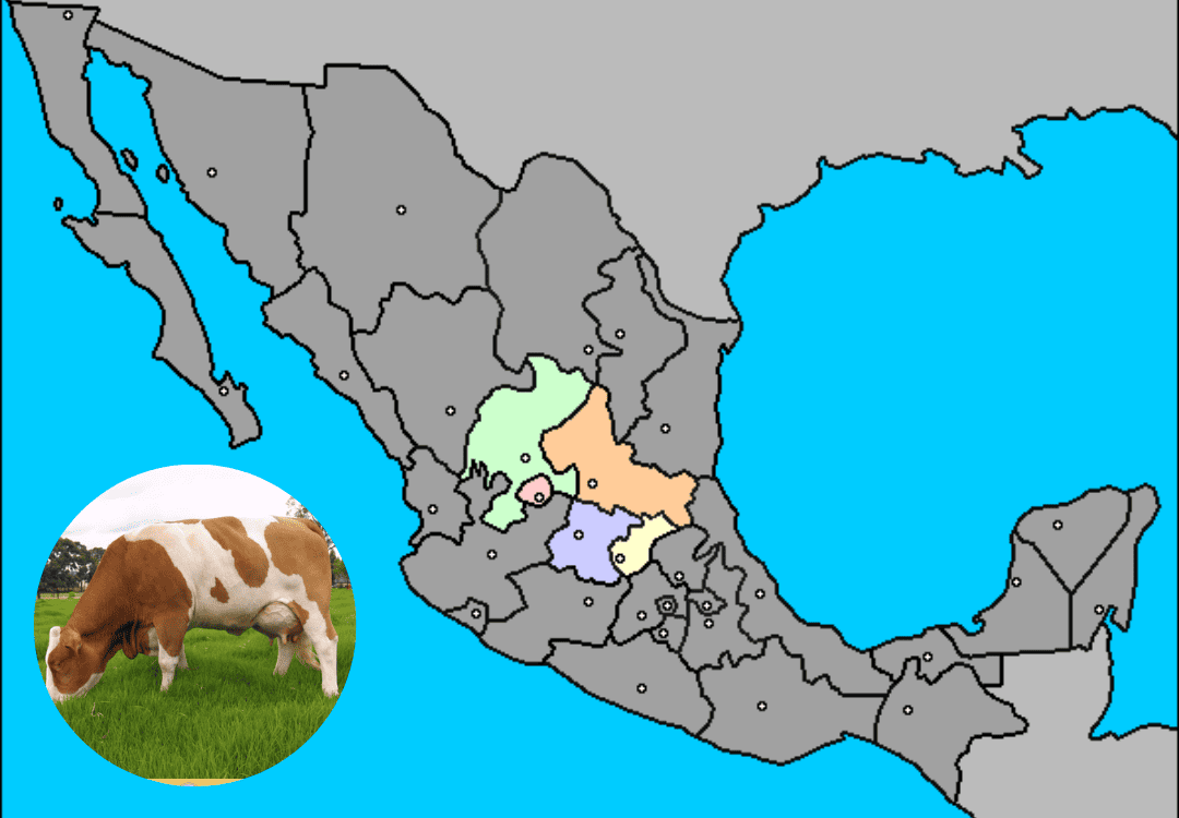 Las Razas Bovinas que Dominan el Paisaje Ganadero de México